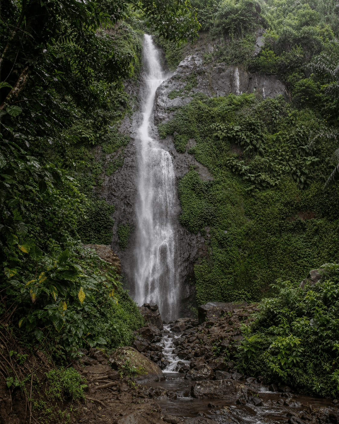 Air terjun di hutan tropis Subang