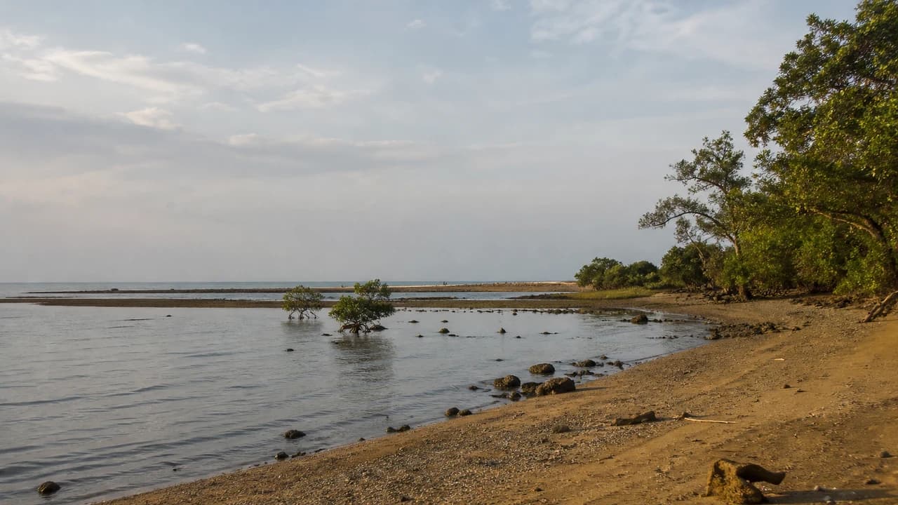 Pesisir Laut Utara Subang